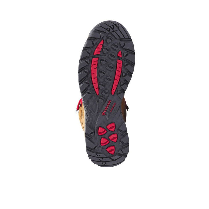 COLUMBIA Newton Ridge™ Plus Waterproof Amped Women's Hiking Shoes