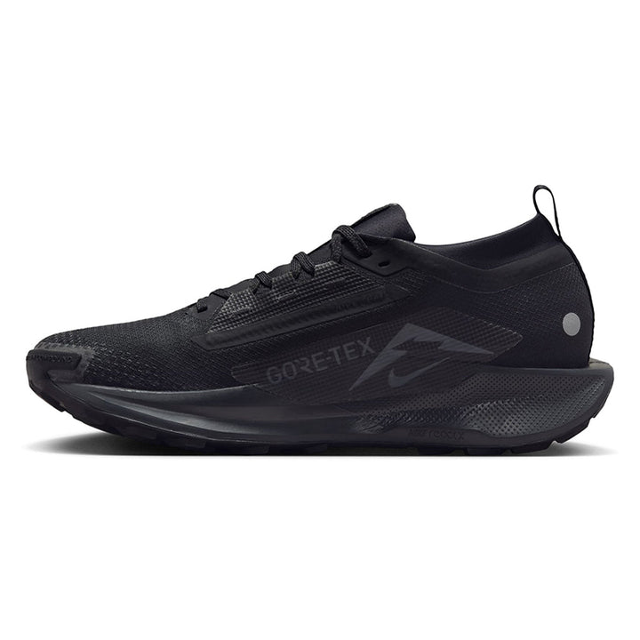 NIKE Pegasus Trail 5 GORE-TEX Men's Trail Running Shoes