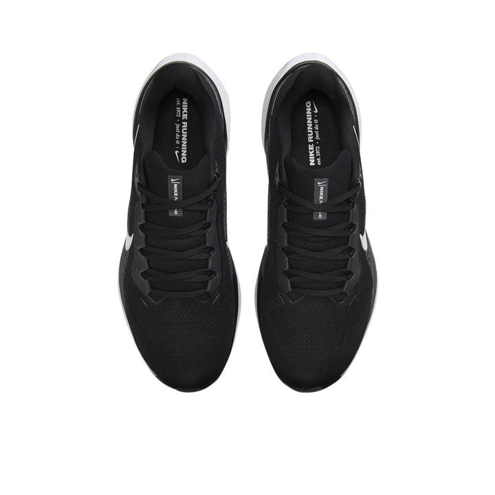 NIKE Pegasus 41 Men's Running Shoes