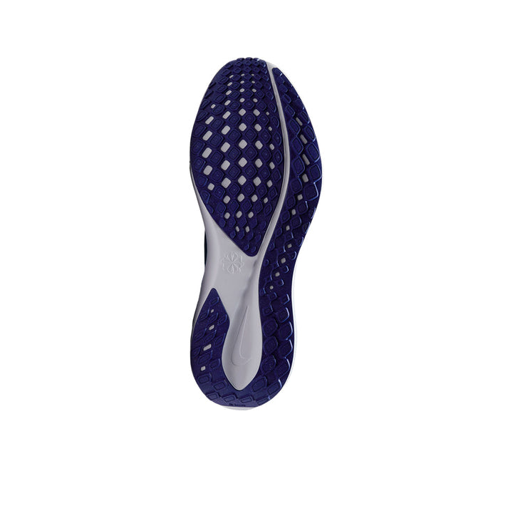 NIKE Pegasus 41 Men's Running Shoes
