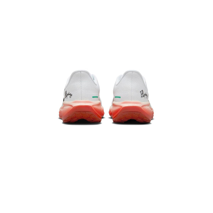 NIKE Pegasus 41 "Eliud Kipchoge" Men's Running Shoes