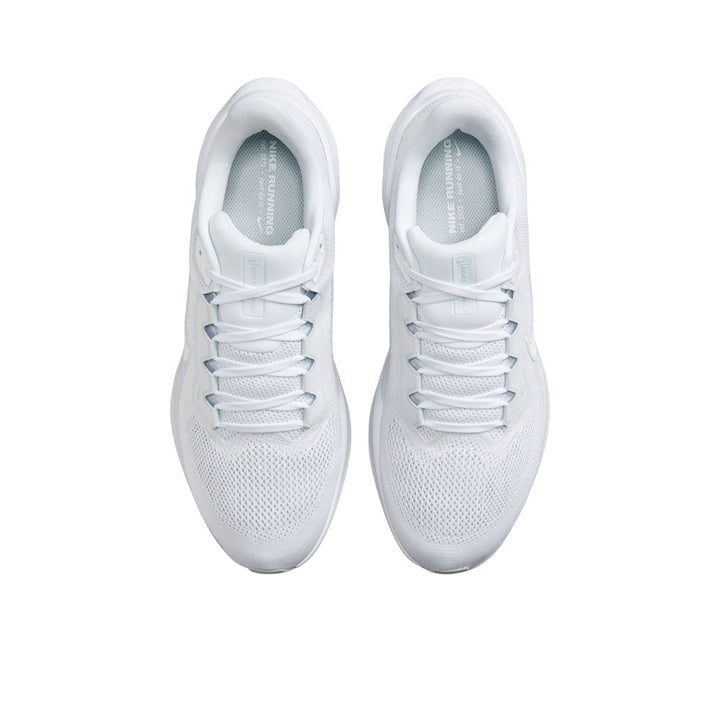 NIKE Pegasus 41 Men's Running Shoes
