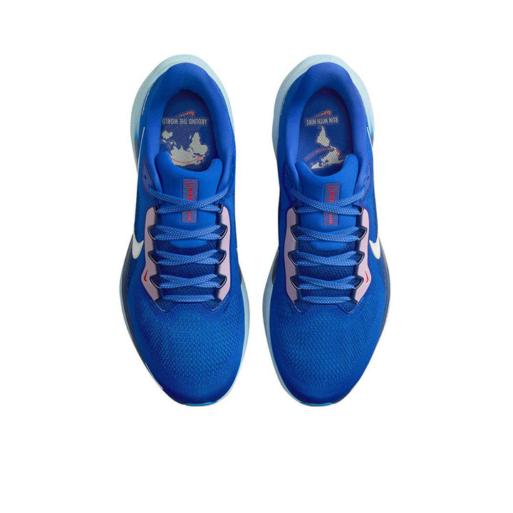 NIKE Pegasus 41 Men's Running Shoes