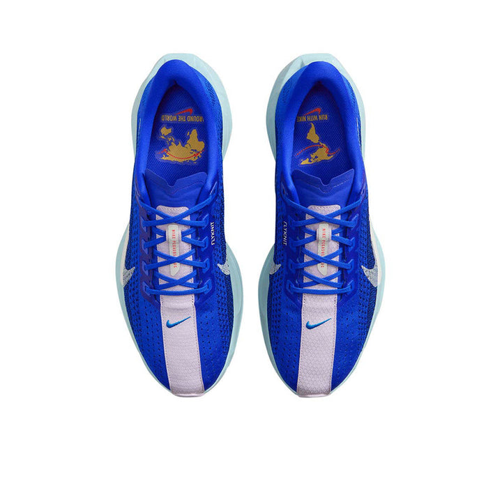 NIKE Pegasus Plus Men's Running Shoes