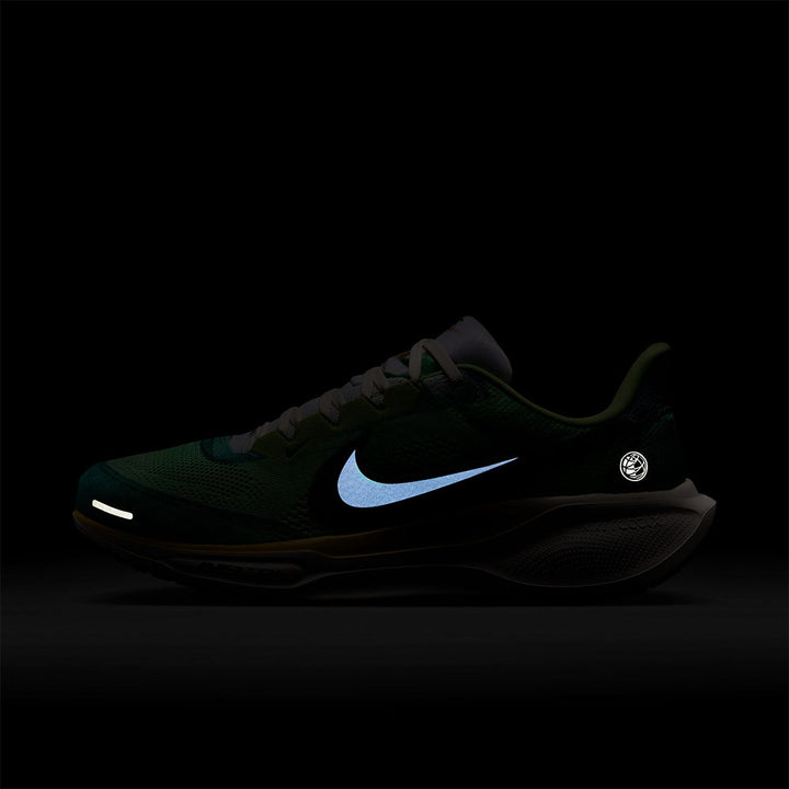 NIKE Pegasus 41 SE Men's Running Shoes